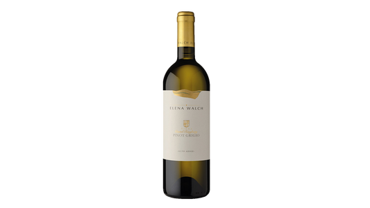 Elena Walch Pinot Grigio Castel Ringberg DOC 2024